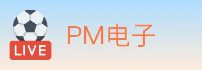 PM电子 logo